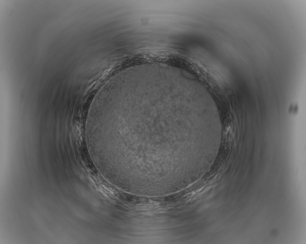 X0000090620772200707241128