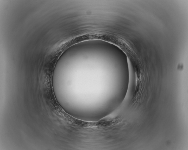 X0000090620773200707241128
