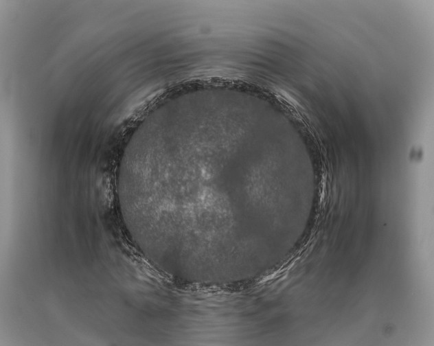 X0000090620774200707241128