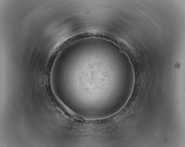 X0000090620776200707241128