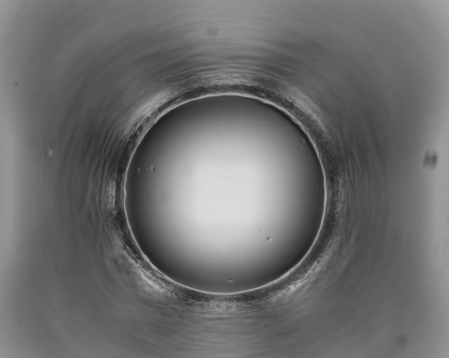 X0000090620777200707241128