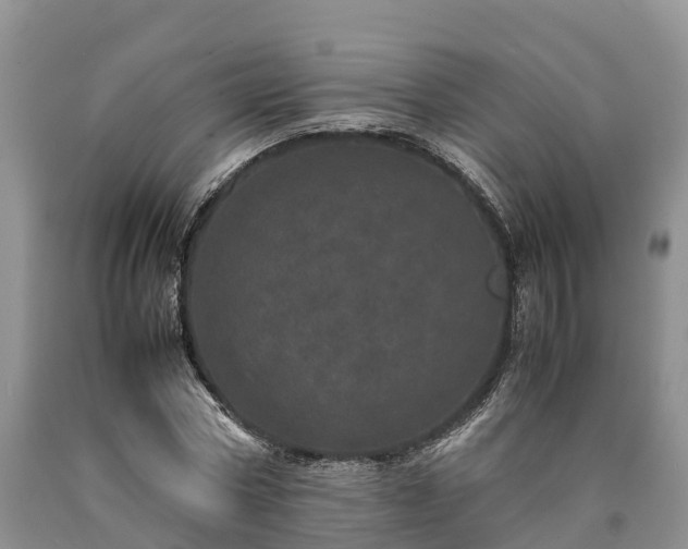 X0000090620778200707241128