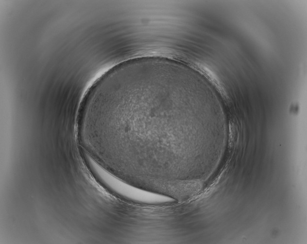 X0000090620780200707241128