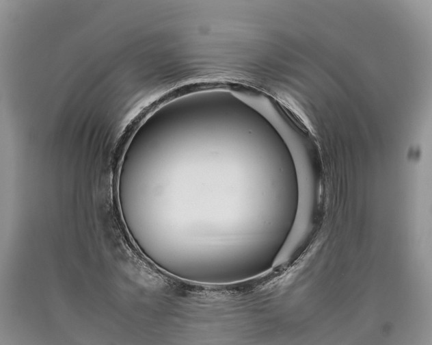 X0000090620781200707241128