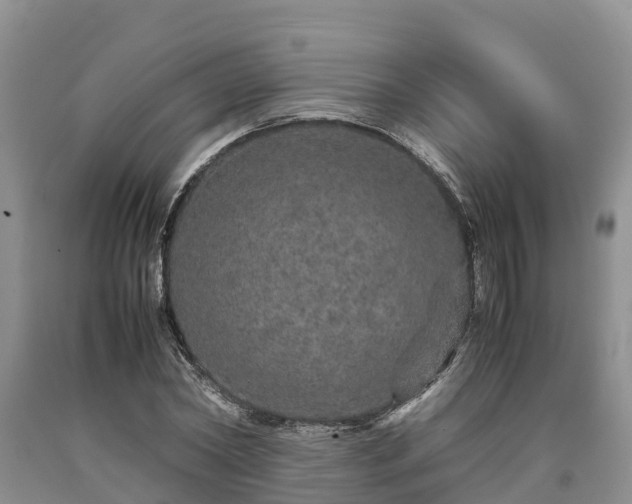 X0000090620782200707241128