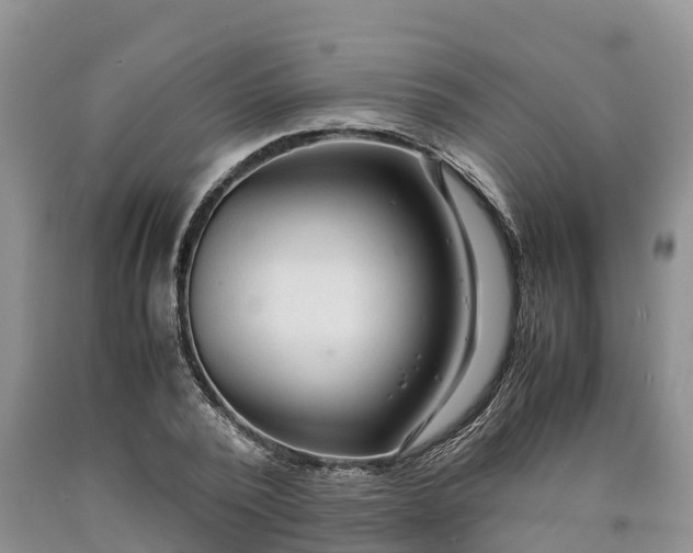 X0000090620784200707241128