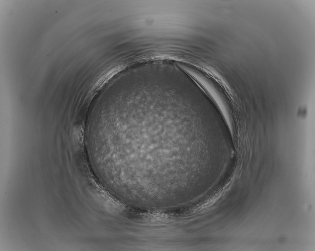 X0000090620785200707241128