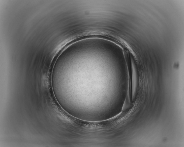 X0000090620786200707241128