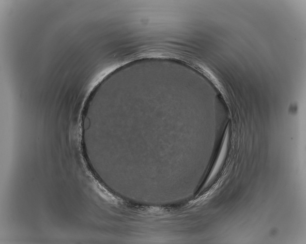 X0000090620787200707241128