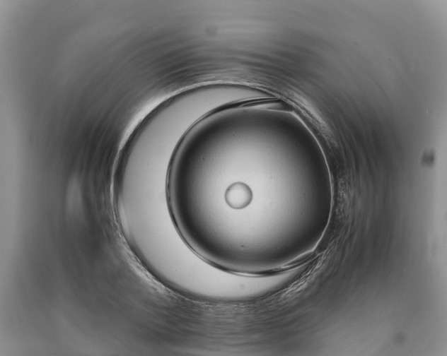 X0000090620788200707241128