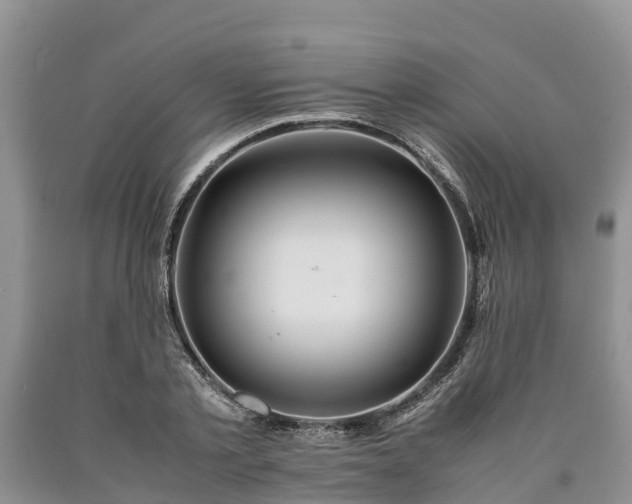 X0000090620789200707241128