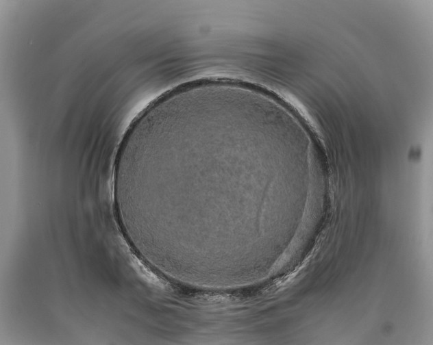 X0000090620791200707241128
