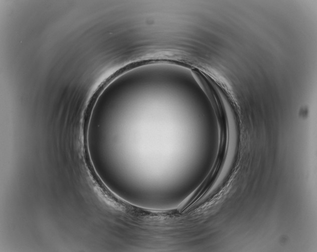 X0000090620792200707241128