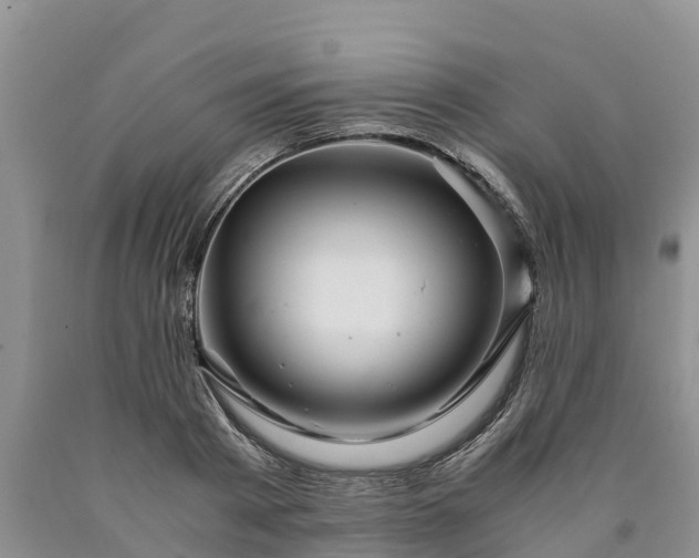 X0000090620793200707241128