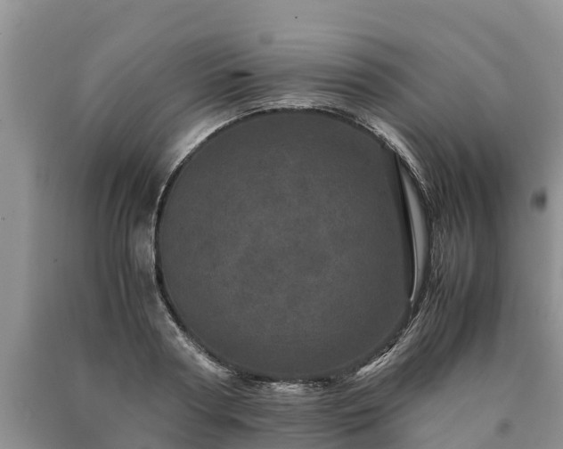 X0000090620794200707241128