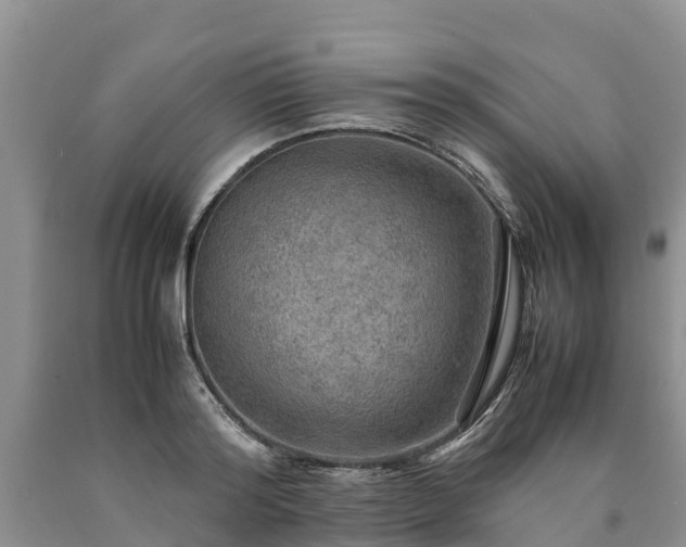 X0000090620796200707241128