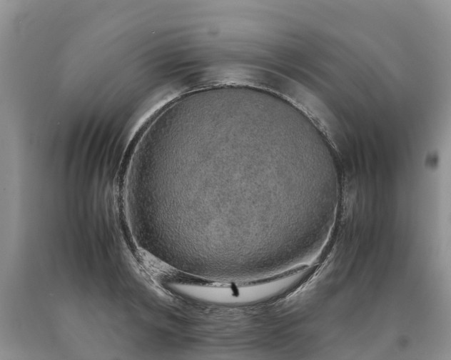 X0000090620798200707241128
