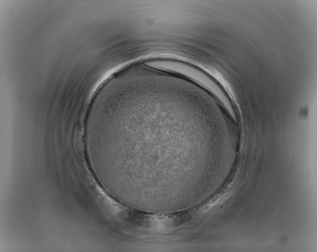 X0000090620799200707241128