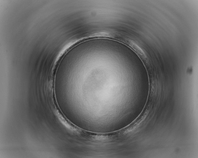 X0000090620800200707241128