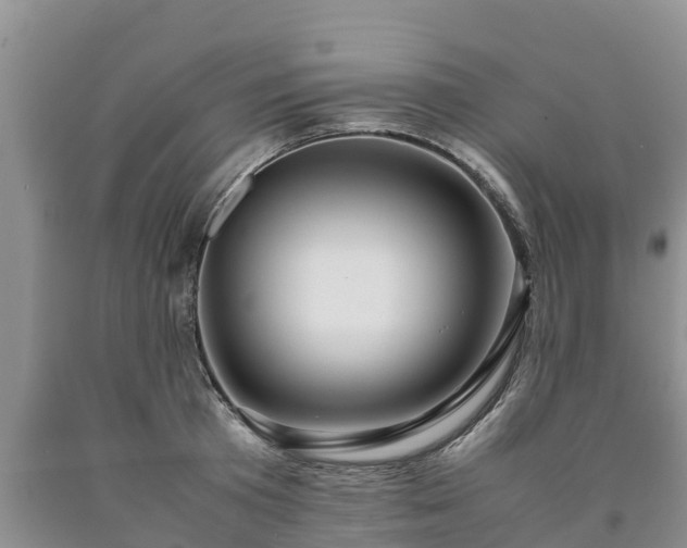 X0000090620801200707241128