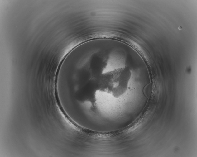 X0000090620802200707241128