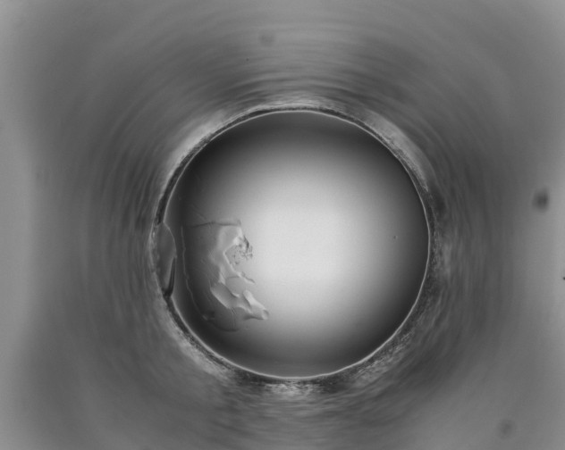 X0000090620805200707241128