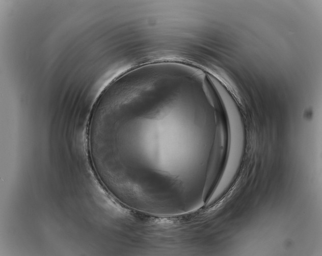 X0000090620806200707241128