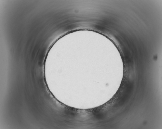 X0000090620807200707241128