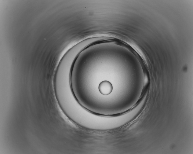 X0000090620813200707241128