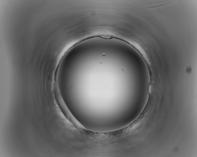 X0000090620815200707241128