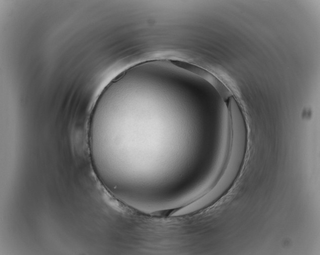 X0000090620816200707241128