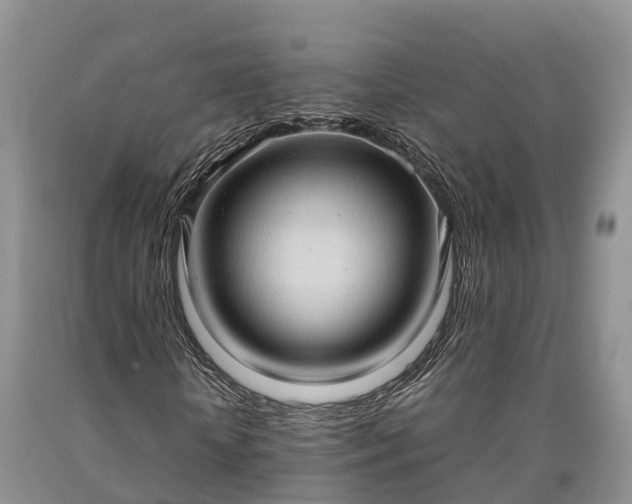 X0000090620818200707241127