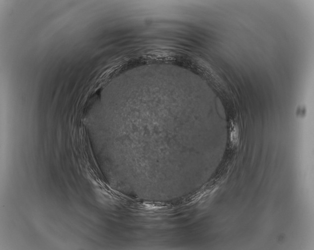 X0000090620819200707241127
