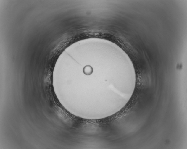 X0000090620820200707241127