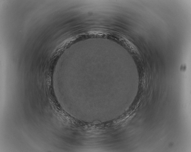 X0000090620821200707241127