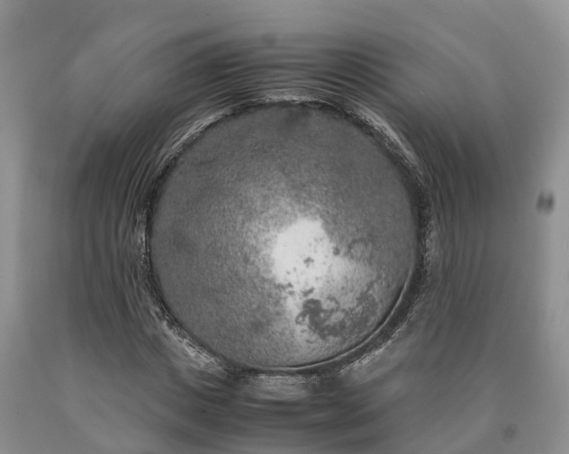 X0000090620825200707241127