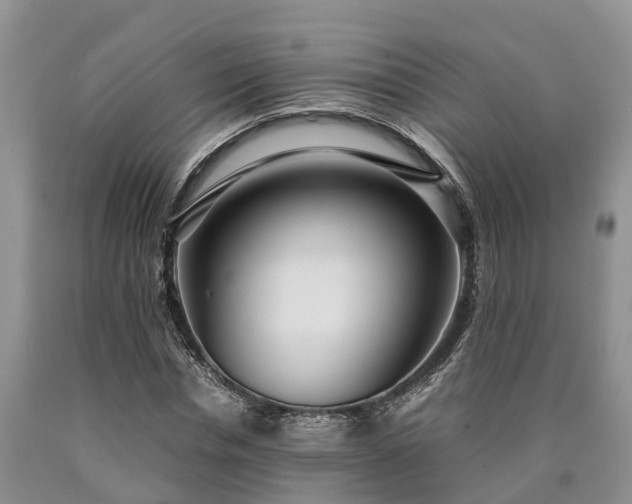 X0000090620826200707241127
