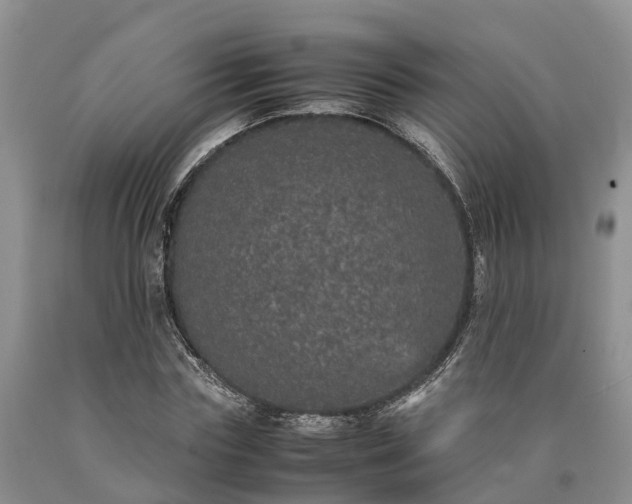 X0000090620827200707241127