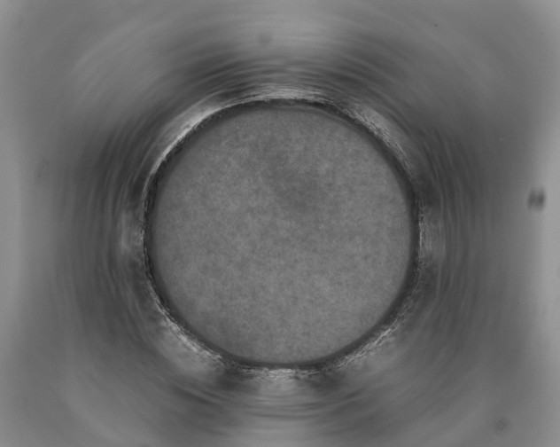 X0000090620828200707241127