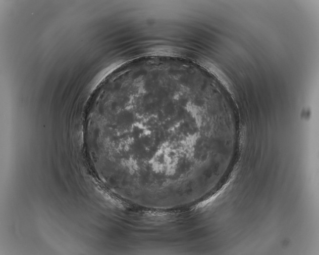 X0000090620829200707241127