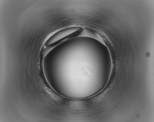 X0000090620830200707241127
