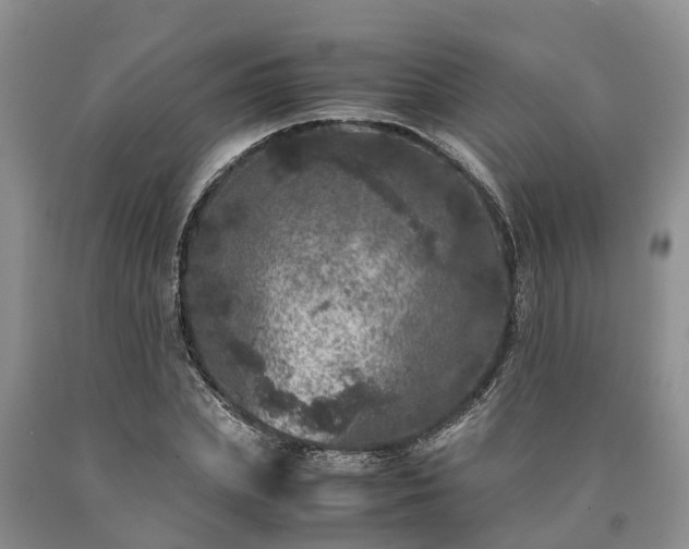 X0000090620831200707241127