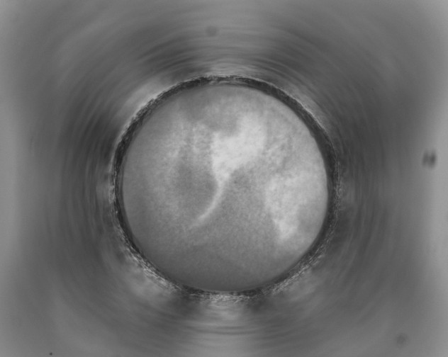 X0000090620832200707241127