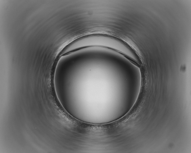 X0000090620834200707241127