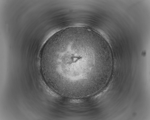 X0000090620835200707241127