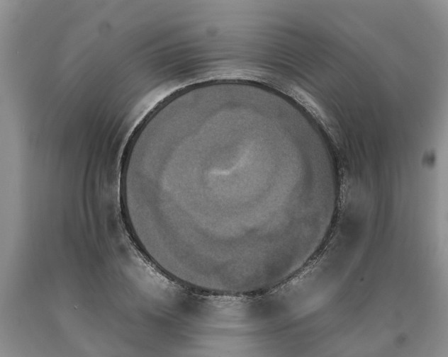 X0000090620836200707241127