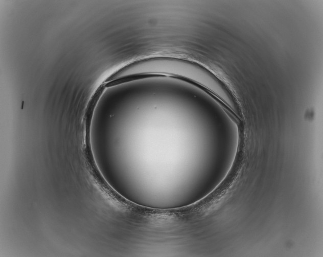 X0000090620838200707241127