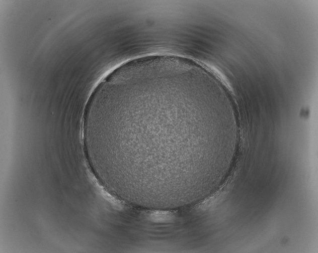 X0000090620839200707241127