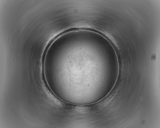 X0000090620840200707241127