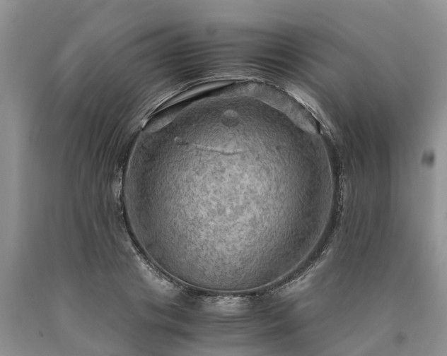 X0000090620841200707241127